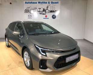 Suzuki Swace Gebrauchtwagen