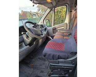 Fiat Ducato Gebrauchtwagen