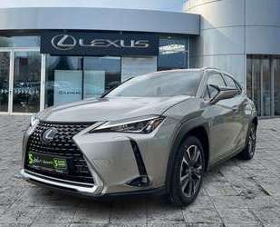 Lexus UX 250h Gebrauchtwagen