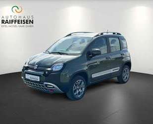 Fiat Panda Gebrauchtwagen