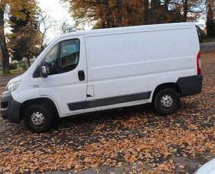 Fiat Ducato Gebrauchtwagen