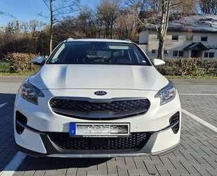 Kia XCeed Gebrauchtwagen