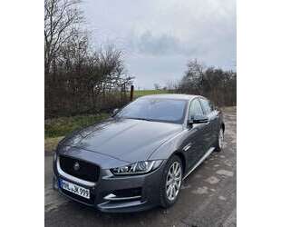 Jaguar XE Gebrauchtwagen