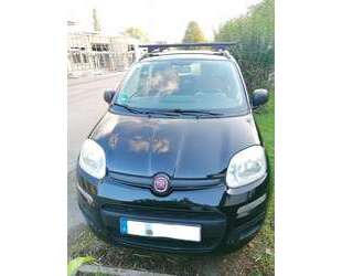 Fiat Panda Gebrauchtwagen