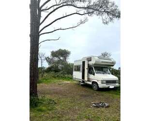 Fiat Talento Gebrauchtwagen