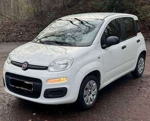 Fiat Panda Gebrauchtwagen