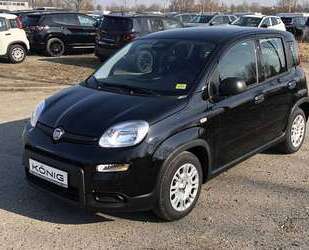 Fiat Panda Gebrauchtwagen