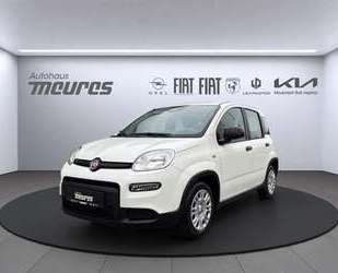 Fiat Panda Gebrauchtwagen