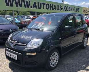 Fiat Panda Gebrauchtwagen