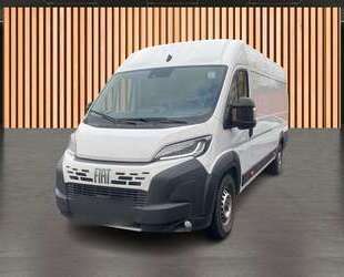 Fiat Ducato Gebrauchtwagen