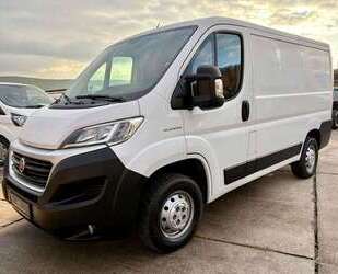 Fiat Ducato Gebrauchtwagen