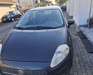 Fiat Punto Gebrauchtwagen