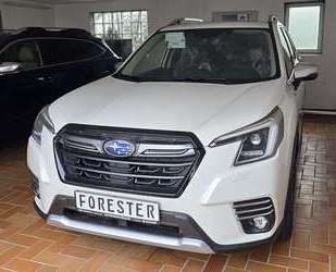 Subaru Forester Gebrauchtwagen