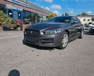 Jaguar XE Gebrauchtwagen