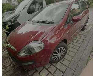 Fiat Punto Gebrauchtwagen