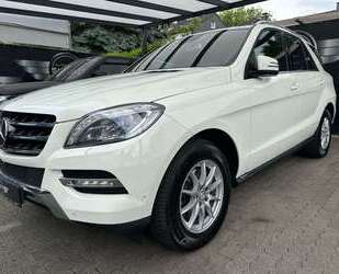 Mercedes-Benz ML 350 Gebrauchtwagen