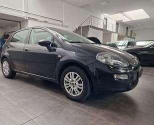 Fiat Punto Gebrauchtwagen