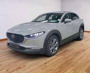 Mazda CX-30 Gebrauchtwagen