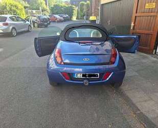 Ford Streetka Gebrauchtwagen