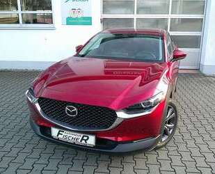 Audi CX-30 