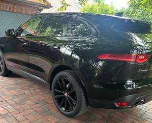 Jaguar F-Pace Gebrauchtwagen