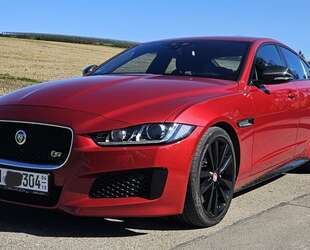 Jaguar XE Gebrauchtwagen