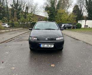 Fiat Punto Gebrauchtwagen