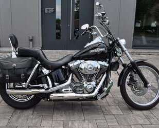Harley Davidson Softail Gebrauchtwagen