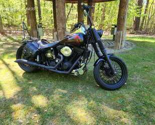 Harley Davidson Softail Gebrauchtwagen