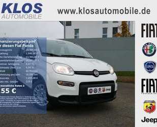 Fiat Panda Gebrauchtwagen
