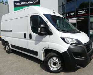 Fiat Ducato Gebrauchtwagen