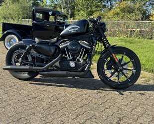 Harley Davidson Iron 883 Gebrauchtwagen