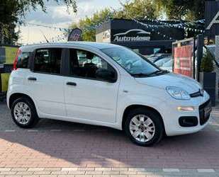 Fiat Panda Gebrauchtwagen