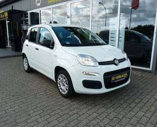 Fiat Panda Gebrauchtwagen