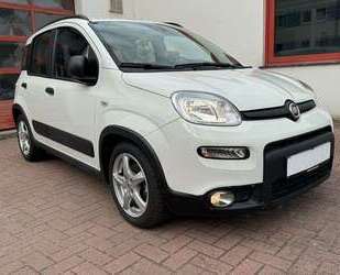 Fiat Panda Gebrauchtwagen