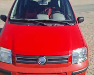 Fiat Panda Gebrauchtwagen