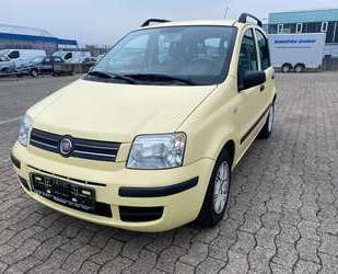 Fiat Panda Gebrauchtwagen