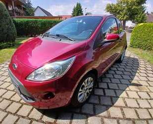 Ford Ka/Ka+ Gebrauchtwagen