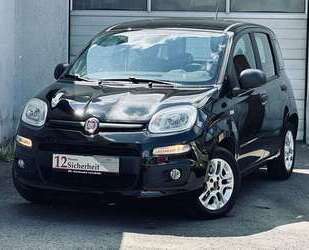 Fiat Panda Gebrauchtwagen
