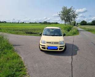 Fiat Panda Gebrauchtwagen