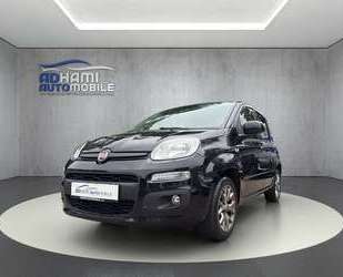 Fiat Panda Gebrauchtwagen