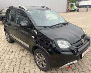 Fiat Panda Gebrauchtwagen