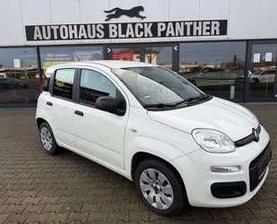 Fiat Panda Gebrauchtwagen