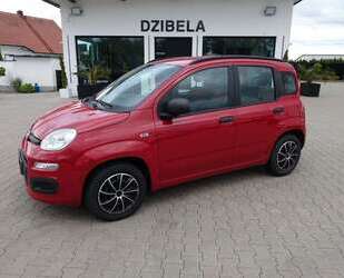 Fiat Panda Gebrauchtwagen