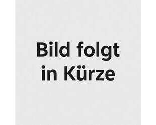Alfa Romeo Stelvio Gebrauchtwagen