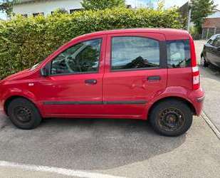 Fiat Panda Gebrauchtwagen