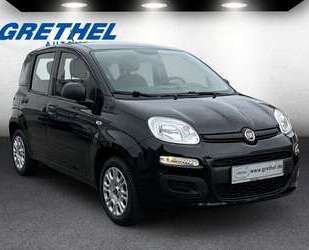 Fiat Panda Gebrauchtwagen