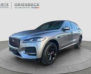 Jaguar F-Pace Gebrauchtwagen