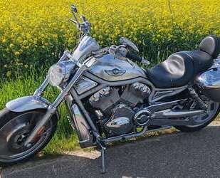 Harley Davidson VRSC V-Rod Gebrauchtwagen