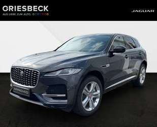 Jaguar F-Pace Gebrauchtwagen